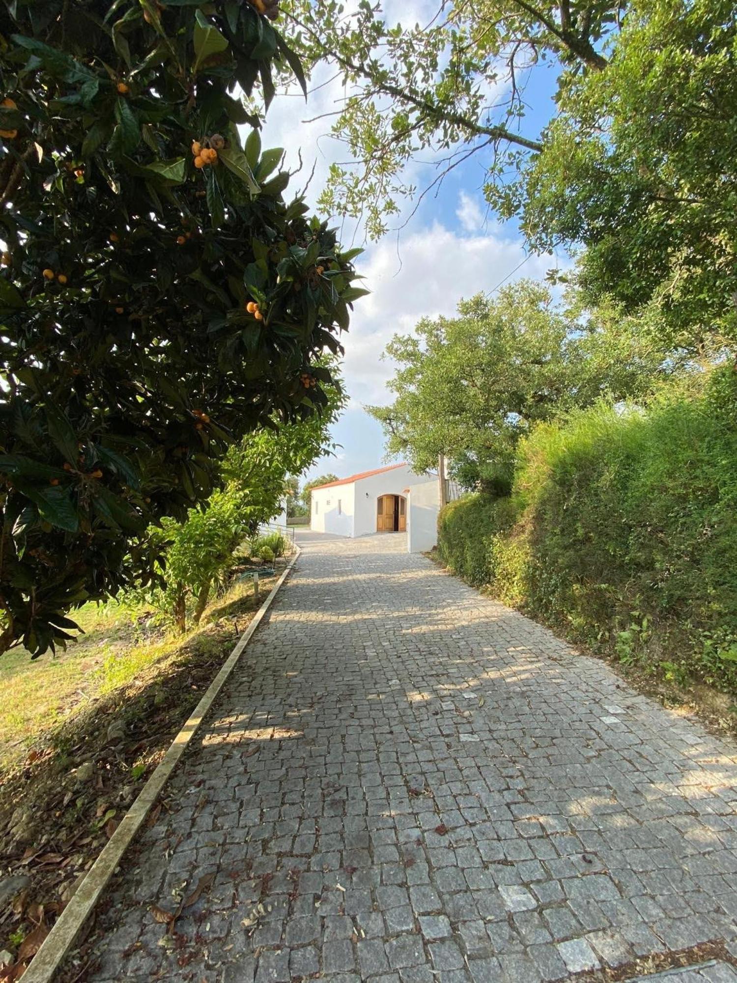 Vila Quinta Boa Vida Alcobaça Exteriér fotografie