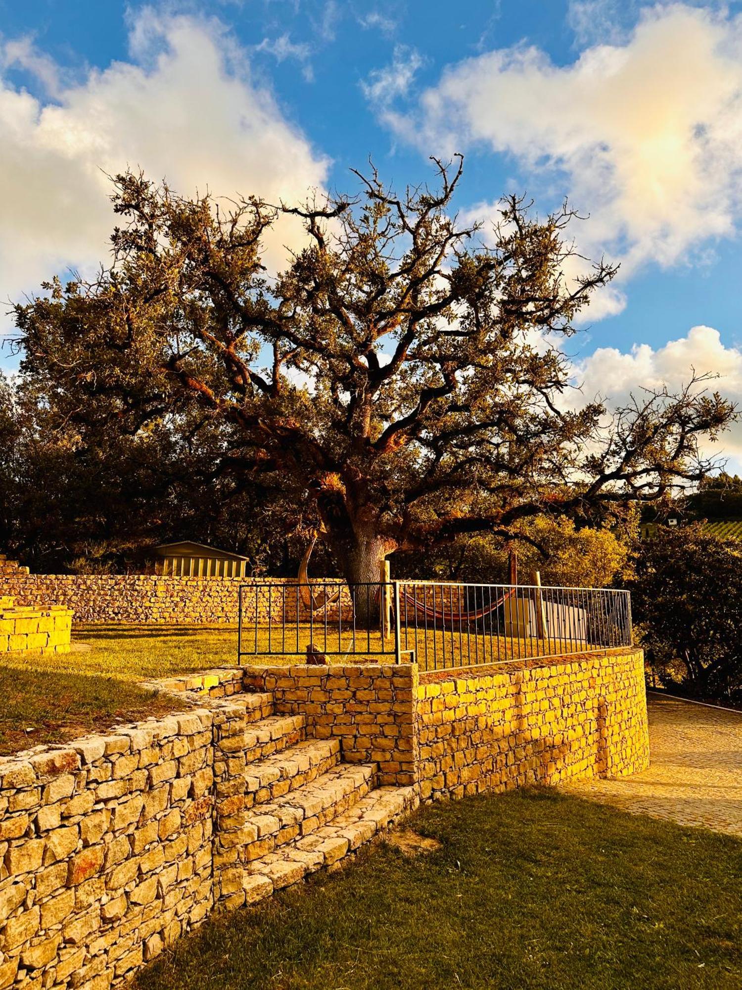 Vila Quinta Boa Vida Alcobaça Exteriér fotografie